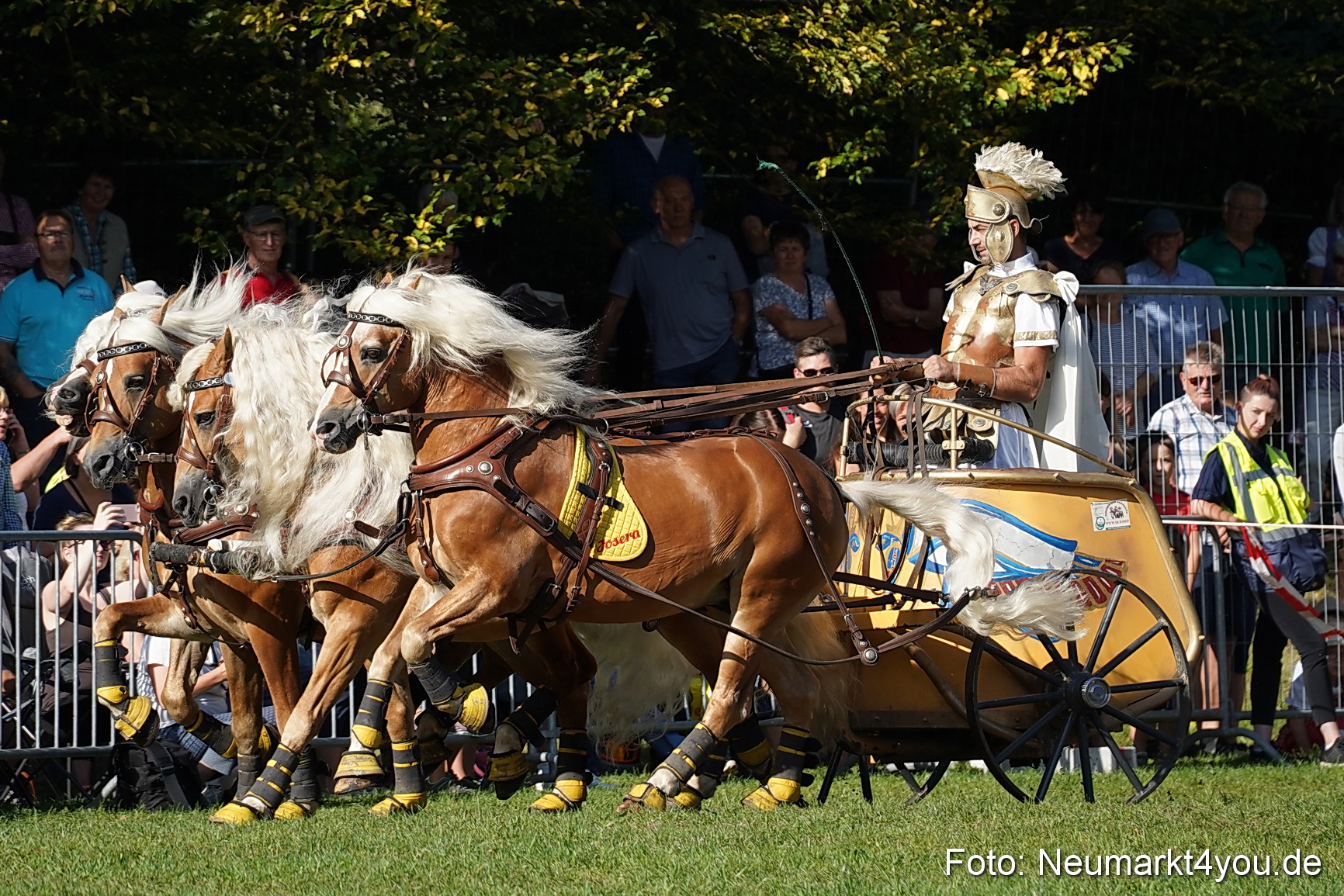 Pferde und Fohlenschau 2022 0027 